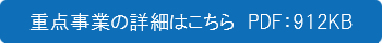 重点事業の詳細資料